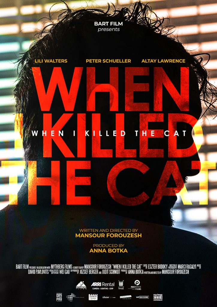 When I Killed the Cat short film written and directed by Mansour Forouzesh وقتی گربه را کشتم نویسنده و کارگردان منصور فروزش